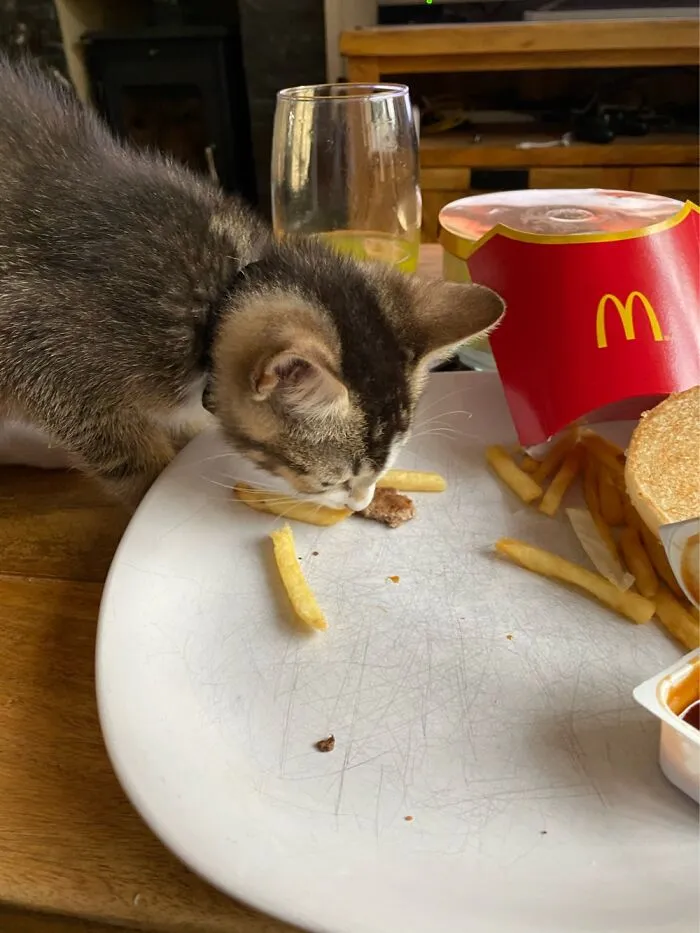 Ermmmmm Paws Off Mate!