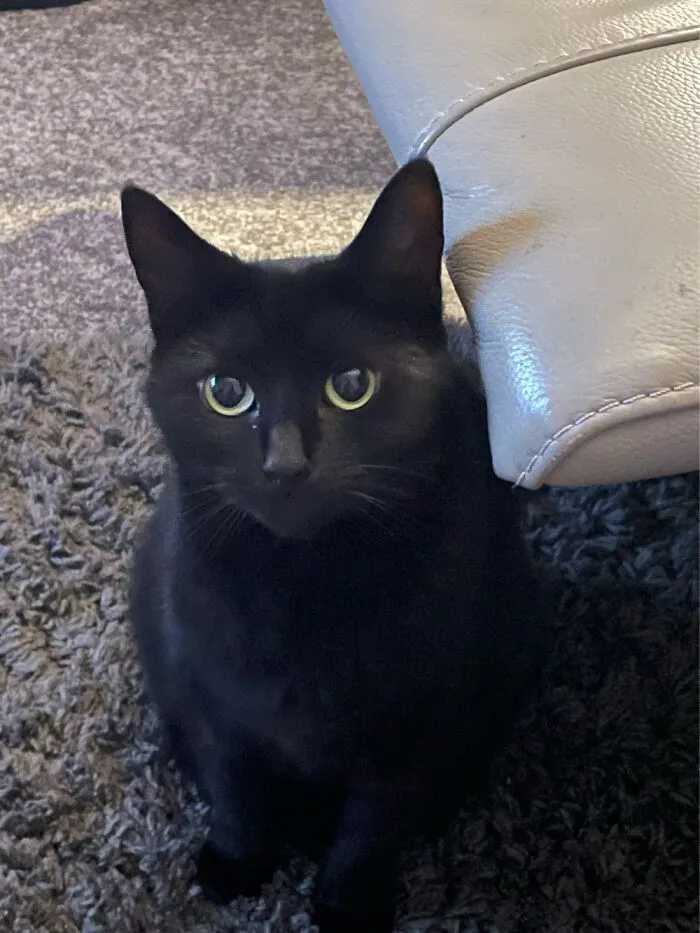 Raven , She’s Very Sweet And Shy