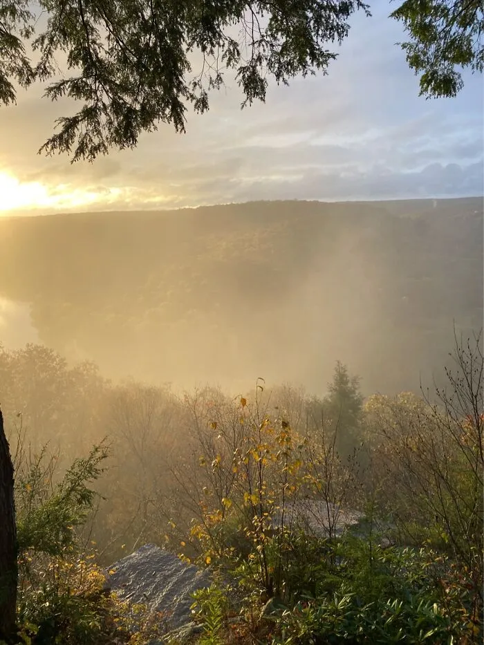 Morning Mist In Kennerdell, Pa USA