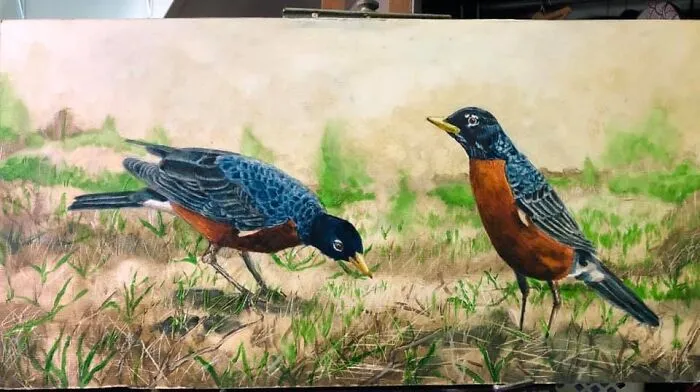 Robins In My Yard