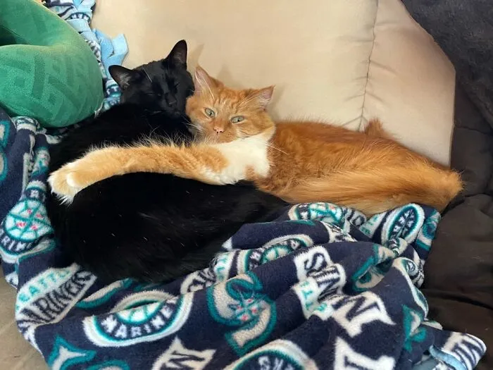 Cuddles
