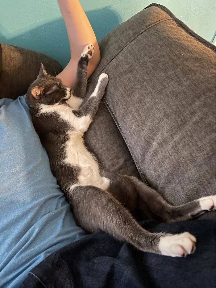Sleepy Time