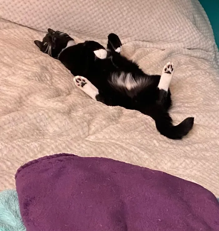 Gotta Air Everything Out Before Bed….