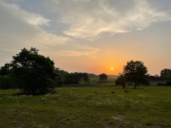 Sunrise