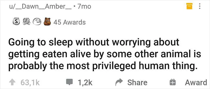 Humorous realization about human privilege shared in an online community post with awards and interactions.