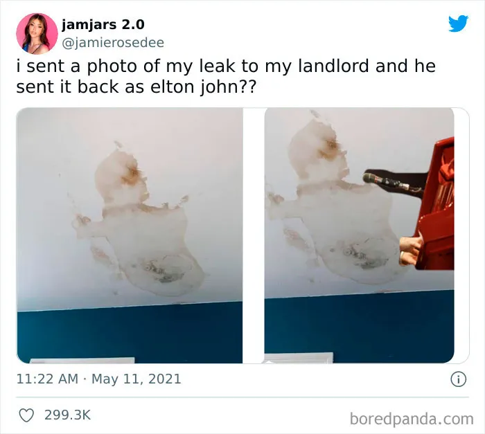 35 People Who Should Have Been Professional But Failed