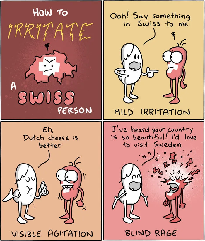 30 New Comics That Show The Funny Differences Between Different Countries And Languages