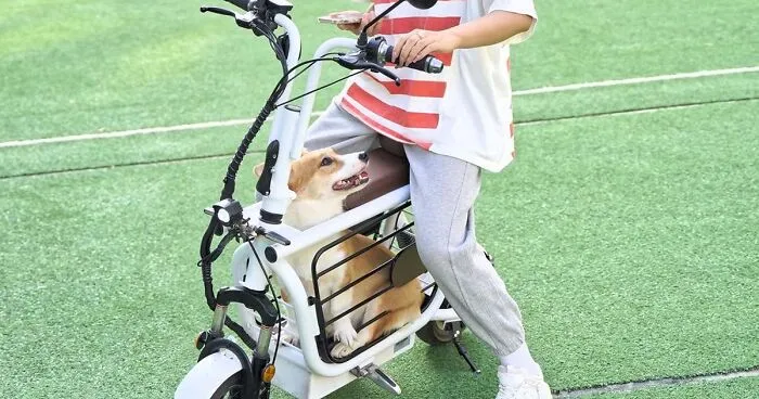 The Japanese Have Invented A Pet-Friendly E-Bike Called A Mopet, And It's Going To Make Their Transportation Much Easier