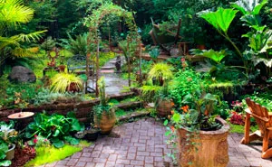 Landlords Didn't Expect Tenant Would Move Her Garden With Her, Have Potential Buyers Walk Out