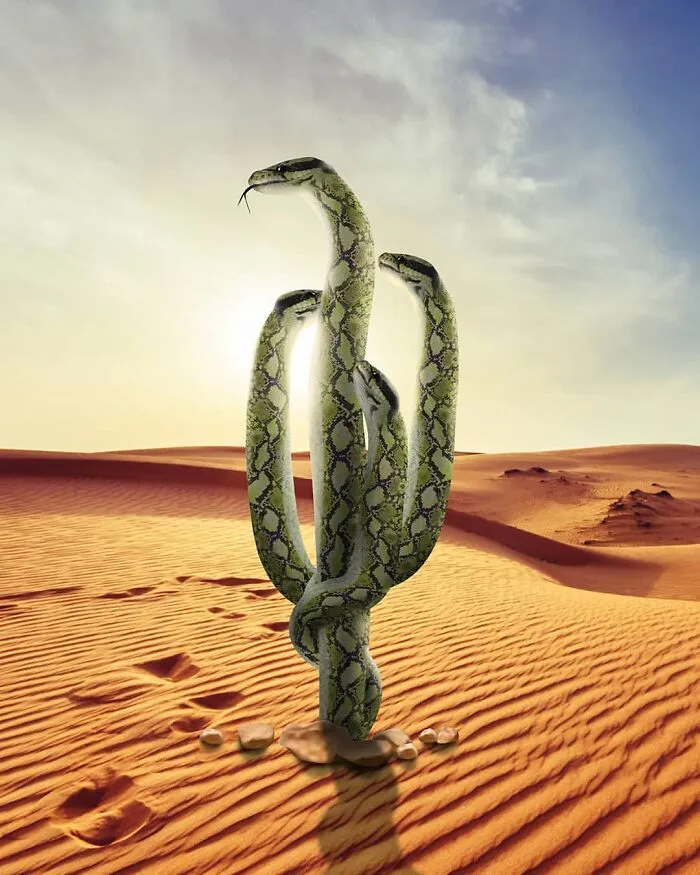 Digital Artist Blurs The Line Between Reality And Fiction In His 52 Surreal Photo Manipulations