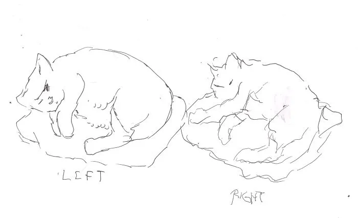 Drawn While Standing And Holding Flimsy Note Pad In Hand. Not My Best Work.left Is My Dominant Hand. Natasha Woke Up And Moved After The Left One- She Isn't Missing A Leg, Just Hidden Under Her Fat.