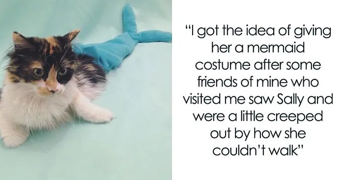 Meet Sally, The Mermaid Cat Who Is Paralyzed From The Waist Down And Shows How Incredible The Bond With A Special Needs Pet Can Be