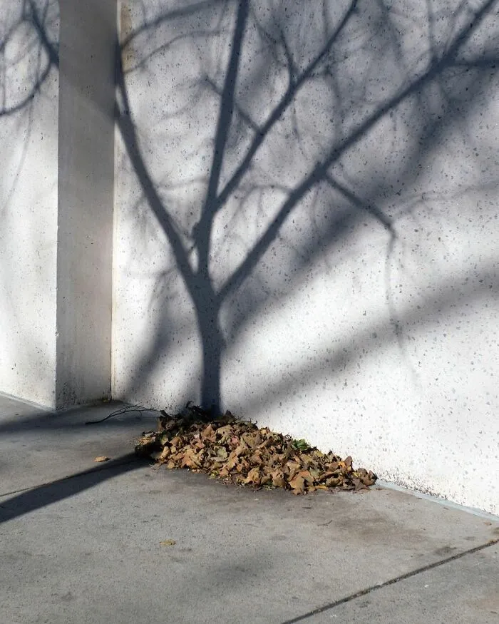 40 Photos Showing Curious Coincidences On New York City Sidewalks By Eric Kogan