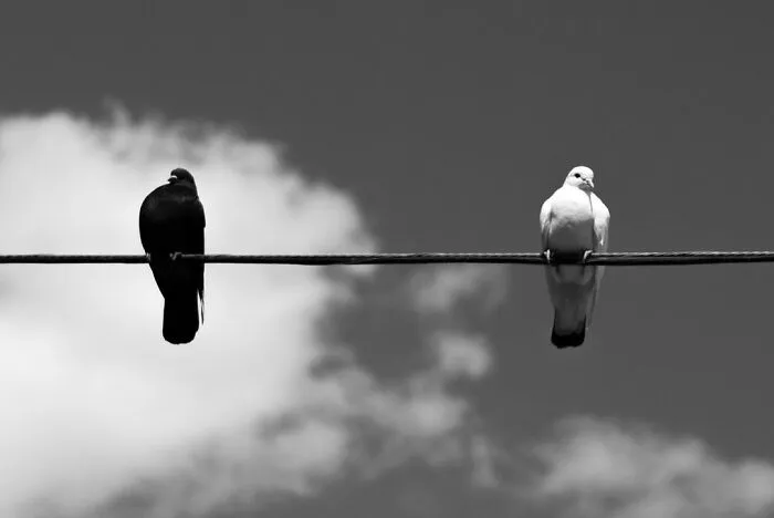 40 Fotos de las curiosas concidencias que se encuentran en las aceras de Nueva York, por Eric Kogan