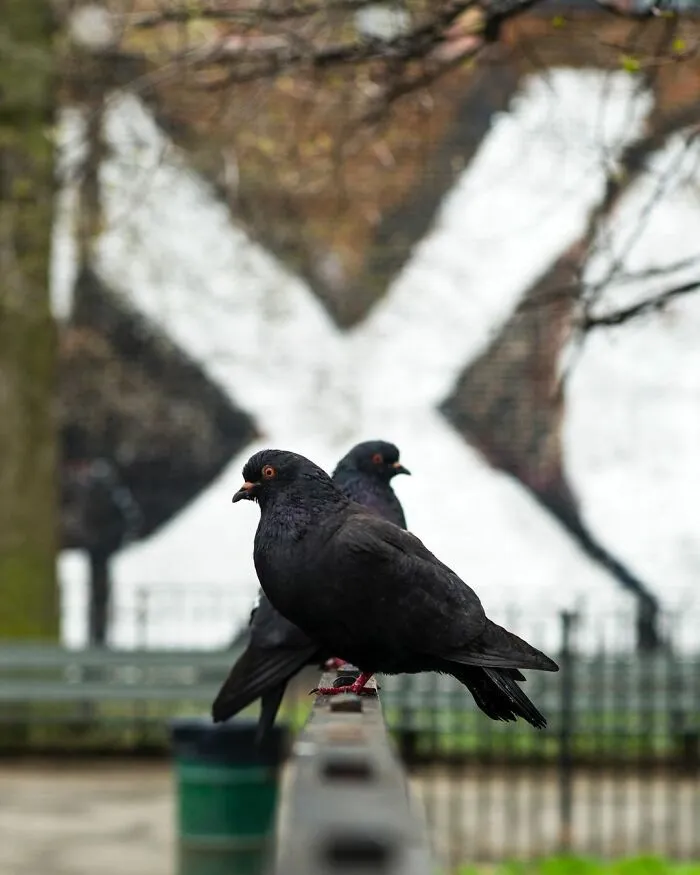 40 Fotos de las curiosas concidencias que se encuentran en las aceras de Nueva York, por Eric Kogan