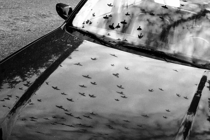 40 Fotos de las curiosas concidencias que se encuentran en las aceras de Nueva York, por Eric Kogan
