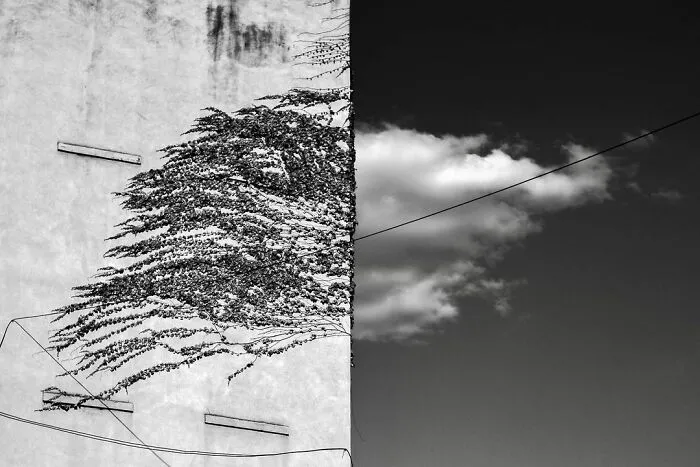 40 Photos Showing Curious Coincidences On New York City Sidewalks By Eric Kogan