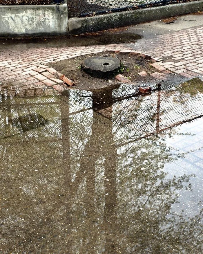 40 Fotos de las curiosas concidencias que se encuentran en las aceras de Nueva York, por Eric Kogan