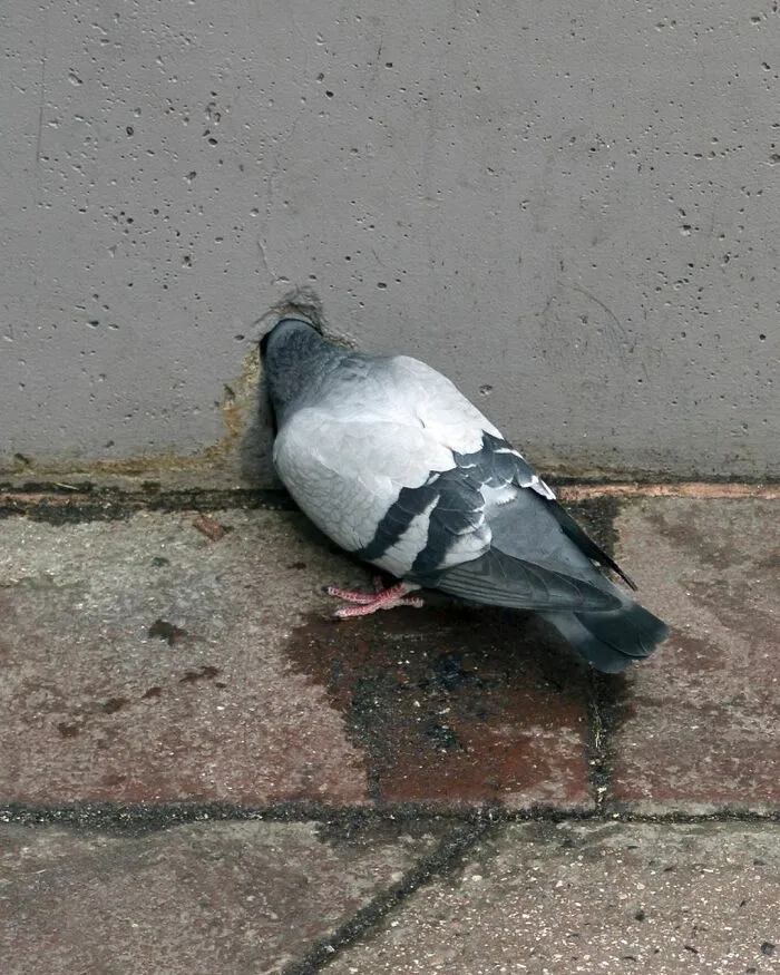 40 Fotos de las curiosas concidencias que se encuentran en las aceras de Nueva York, por Eric Kogan