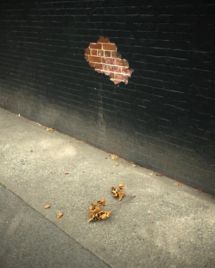 40 Photos Showing Curious Coincidences On New York City Sidewalks By Eric Kogan