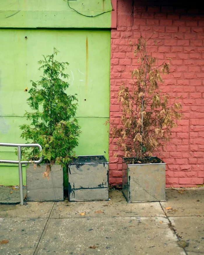 40 Photos Showing Curious Coincidences On New York City Sidewalks By Eric Kogan