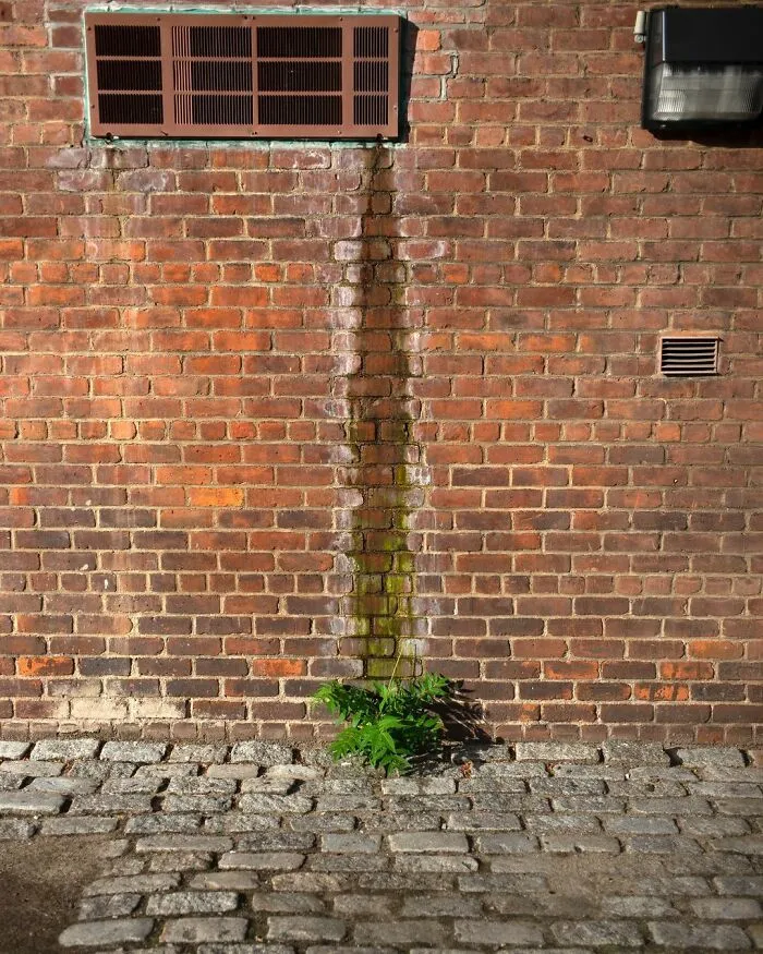 40 Fotos de las curiosas concidencias que se encuentran en las aceras de Nueva York, por Eric Kogan