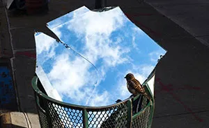 40 Photos Showing Curious Coincidences On New York City Sidewalks By Eric Kogan