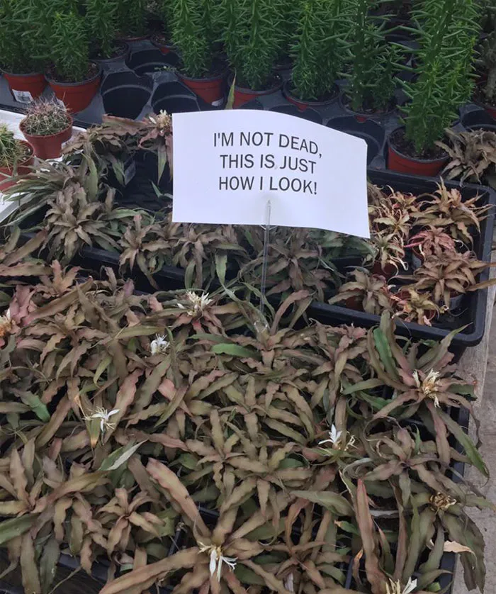 Same, Honestly