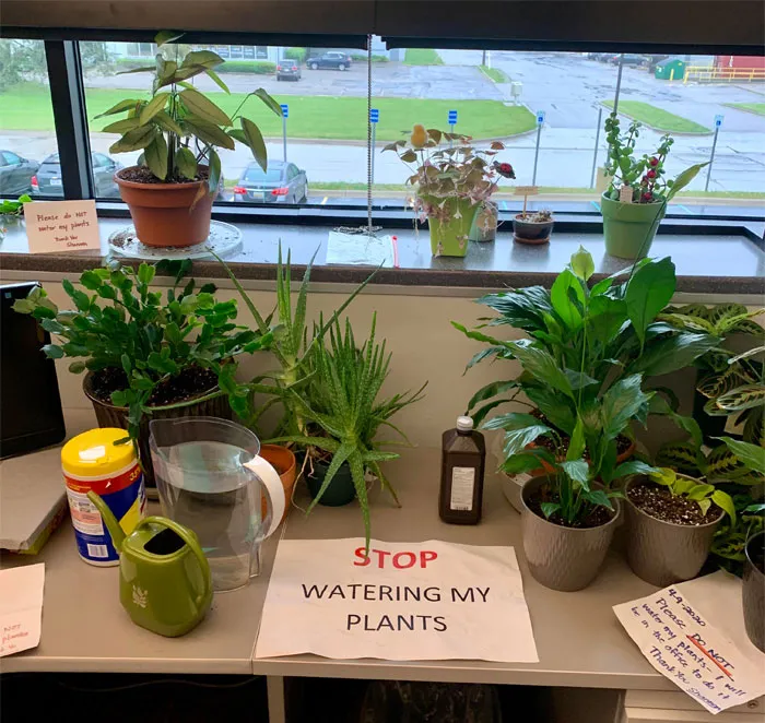 Started A New Job And Found One Of Us