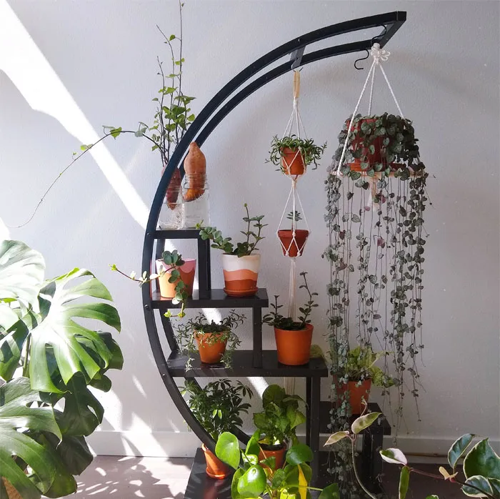 My Terracotta Corner