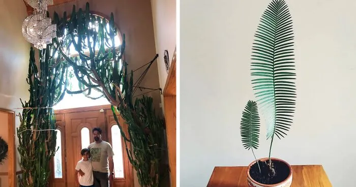 50 Times When Plant Lovers Couldn’t Resist Sharing Their Houseplants To This Online Community