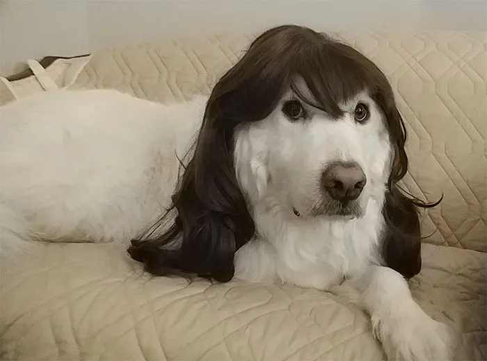 Zoey