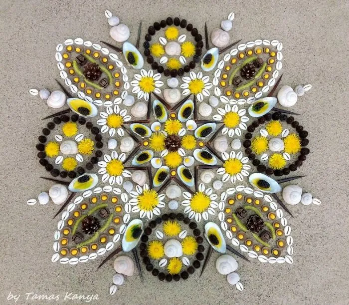 I’m A Land Artist And I Make Mandalas From The Seasonal Materials I Find On My Walks (29 Pics)