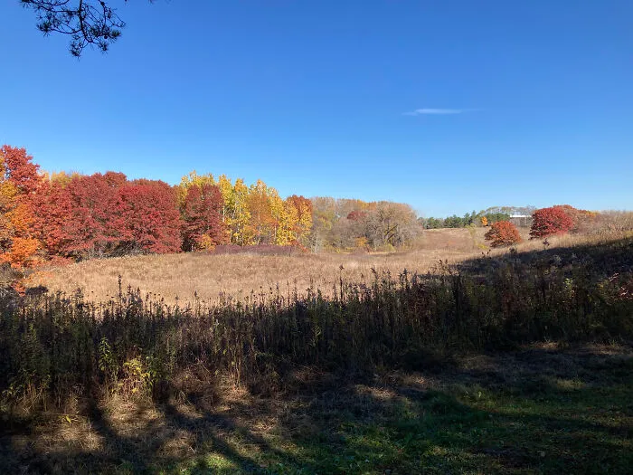 Taken From The County Park Near My Home. I Call It “Minnesota In Fall”