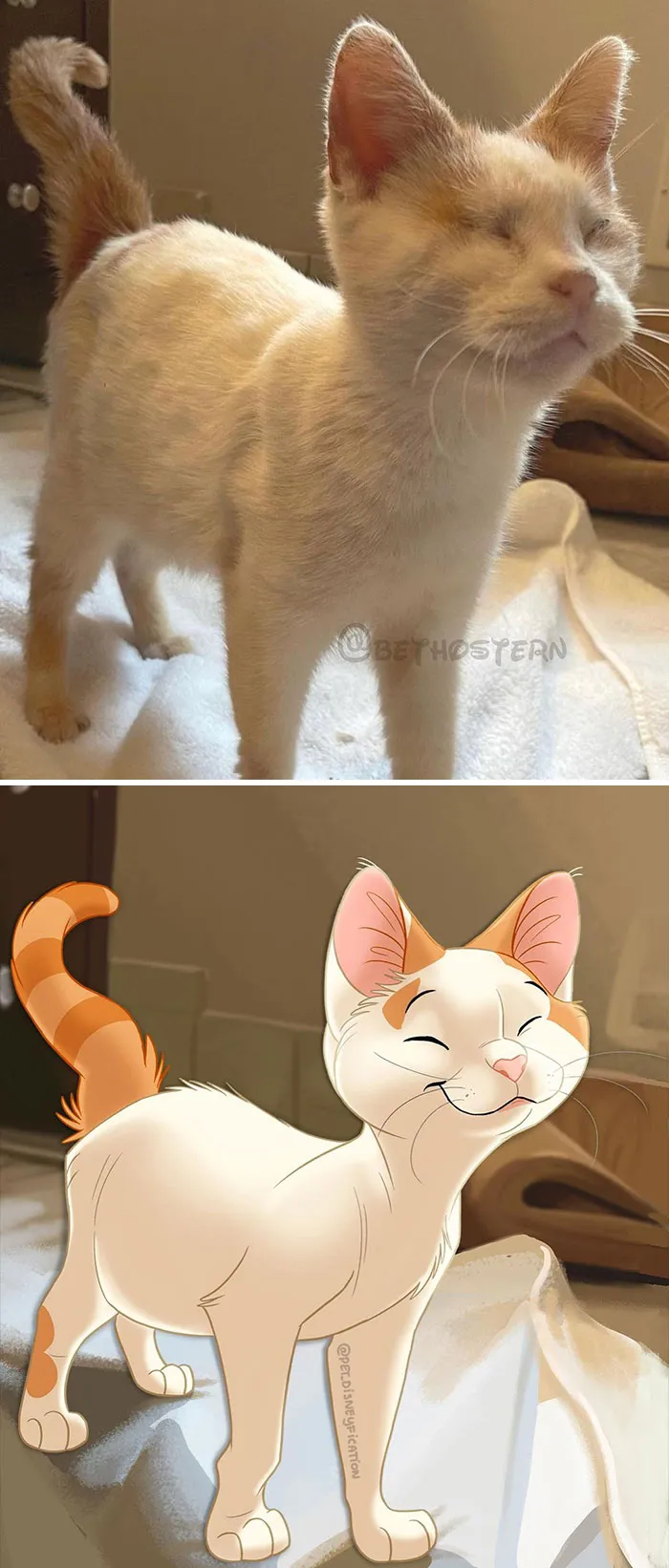 La gente envía fotos de sus mascotas a esta artista y ella las disneyfica (30 imágenes nuevas)