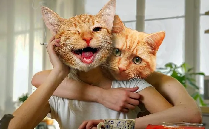 This Artist Makes Unexpected Photo Collages, And Here Are 32 New Ones
