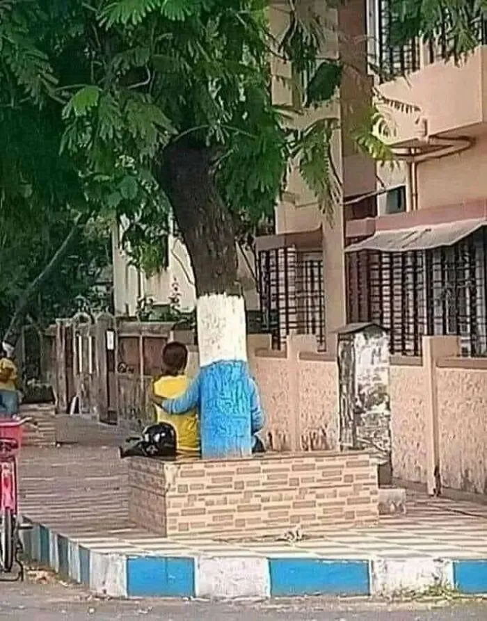 ¡El árbol que te abraza!