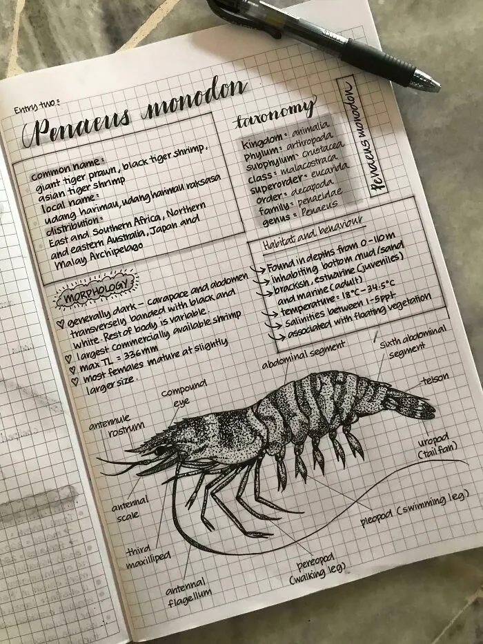 Another One Of My Notes. Trying To Improve My Handwriting Every Time I Get A Chance