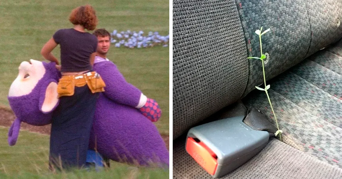 "Me quiero ir" es la cuenta de Instagram más rara, y aquí hay 40 fotos que lo demuestran (nuevas imágenes)