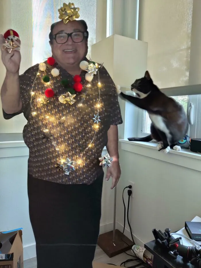 Mi novia y yo tenemos un departamento pequeño así que hicimos un Danny de decoración en lugar de un árbol de Navidad