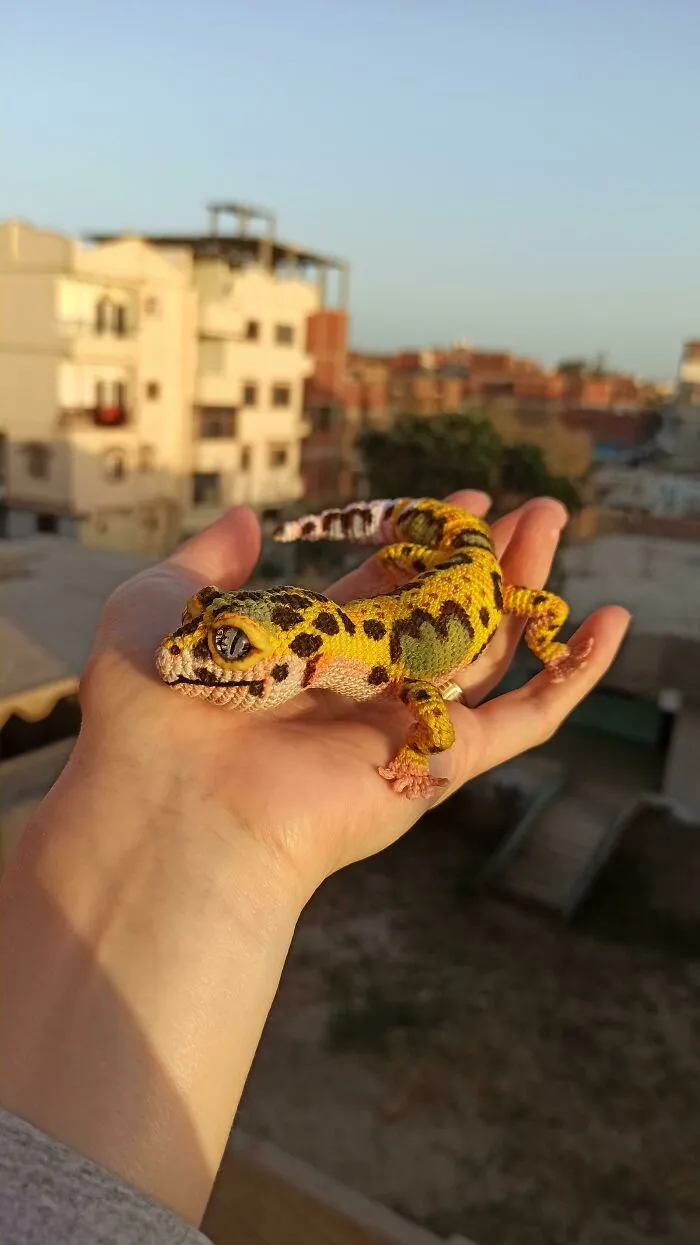 My Crochet Leopard Gecko