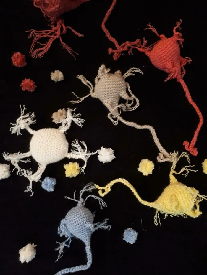 I Crocheted Microglia And Neurons For The Cover Page Of My Thesis, Which I Defended Today
