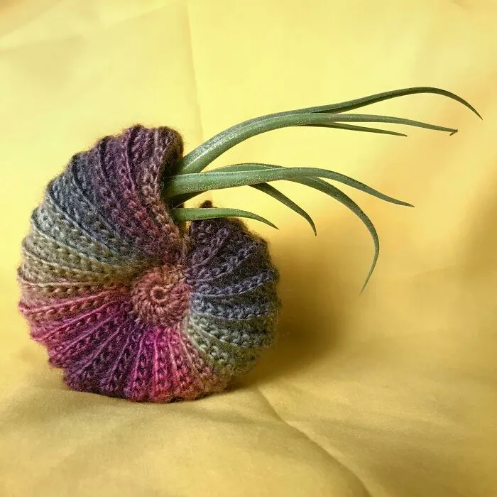 Made Myself A Little Holder For My Air Plant!