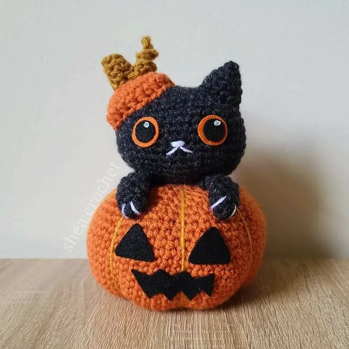 Hice un pequeño gato calabaza