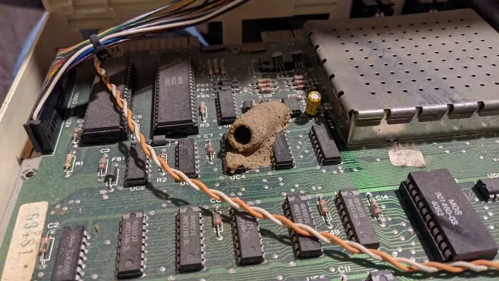 Bought A Vic 20. Came With A Rad Wasp Nest. I Reckon This Is Fine