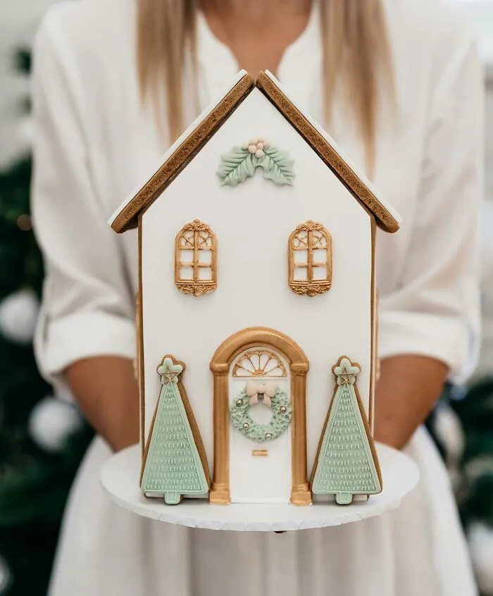 Mi esposa hizo esta casa de pan de jengibre por navidad