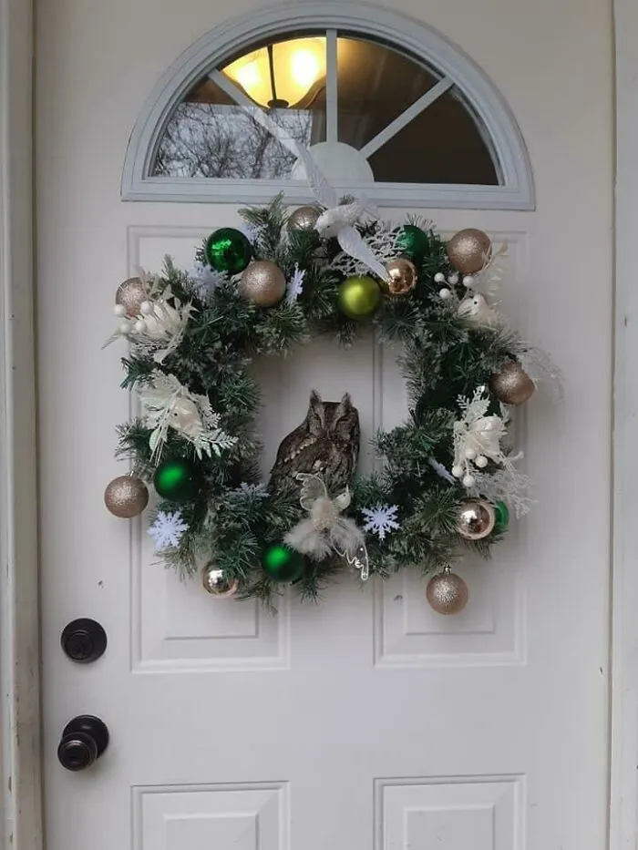 Les presento a un pequeño búho durmiendo en una corona de Navidad