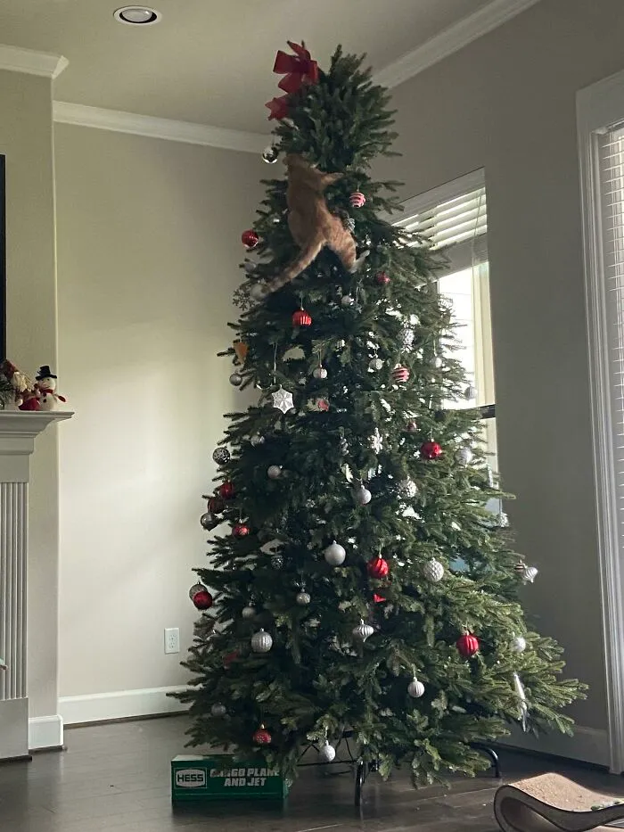 It’s That Time Of The Year Again