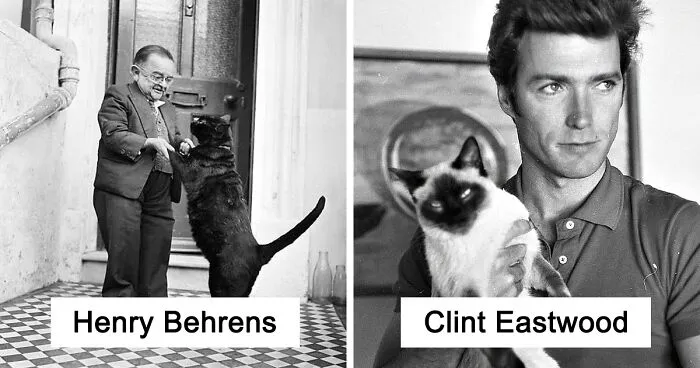 Journalist Collects Vintage Photos Of Celebrities With Cats And More (30 Pics)