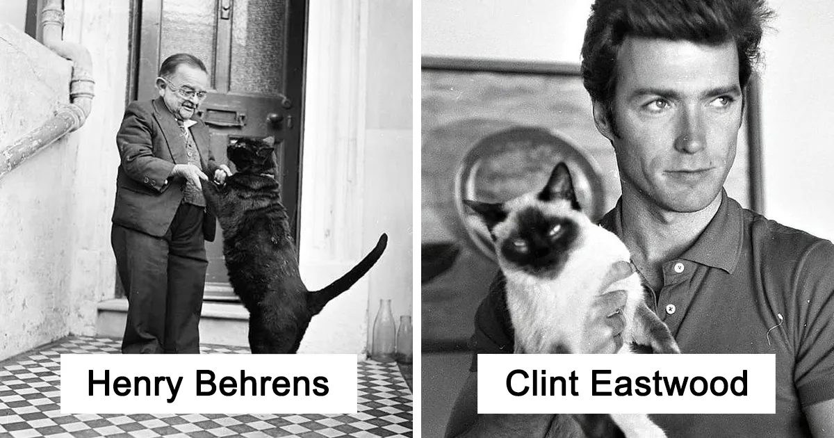 Esta periodista colecciona fotos vintage de celebridades con sus gatos y demás (30 fotos)
